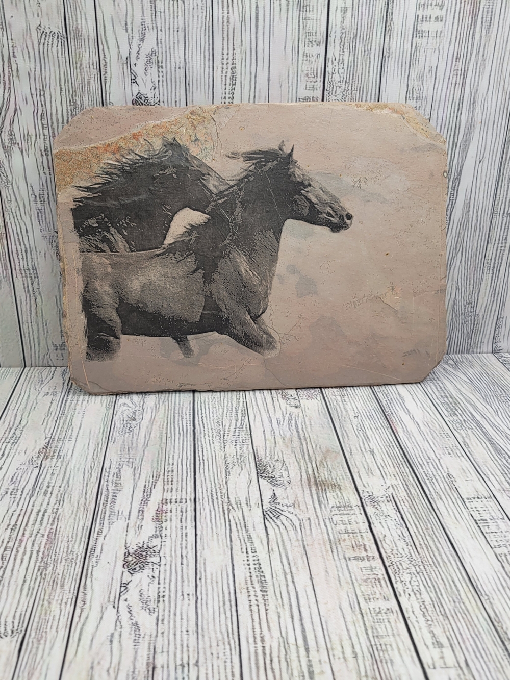 Horses - Natural Tile Slate Plaque Featuring " Wild Beauty" By Tony Stromberg